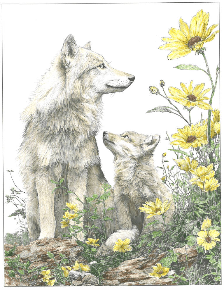 wolves