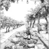 picnic
