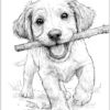 dog with stick