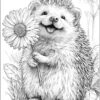 hedgehog