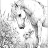 horse and bunny