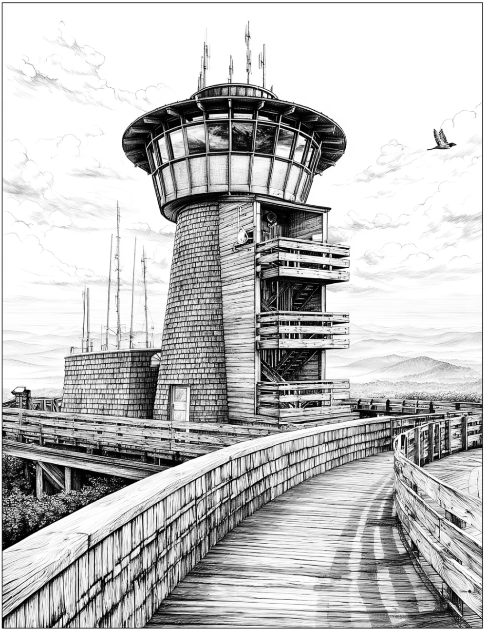 brasstown bald
